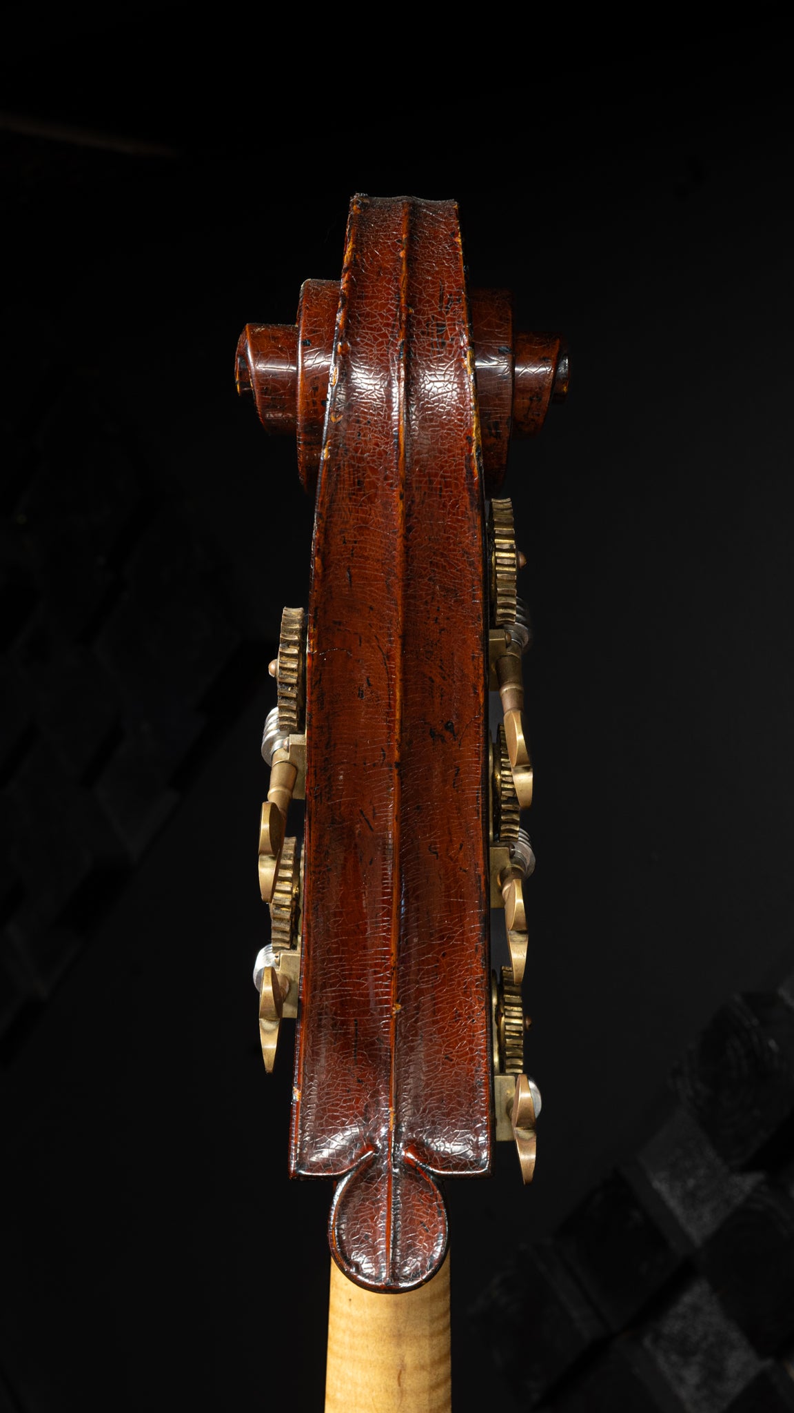 5 String Gabute Bass Violin