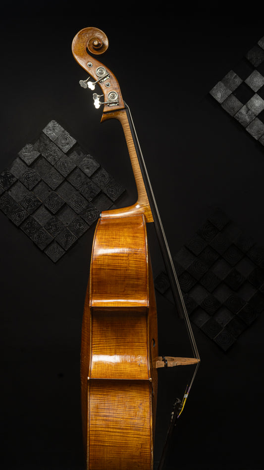 Contemporary Modern French Bass