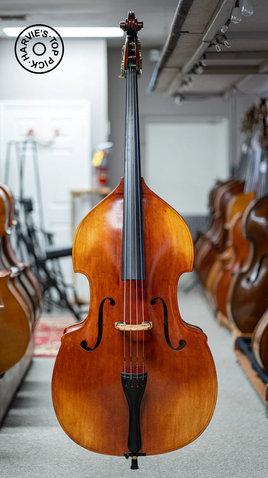 Liandro DiVacenza DB150 Hybrid Bass