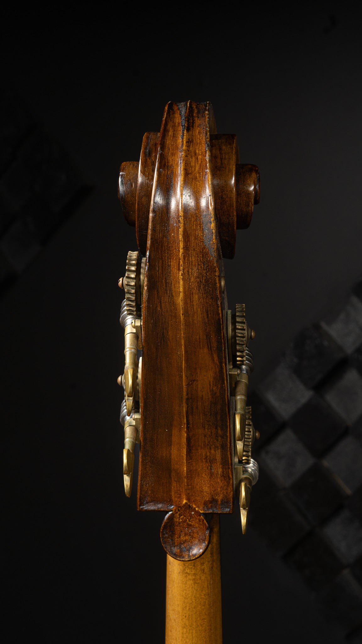 Kolstein Maggini Bass c. 1995