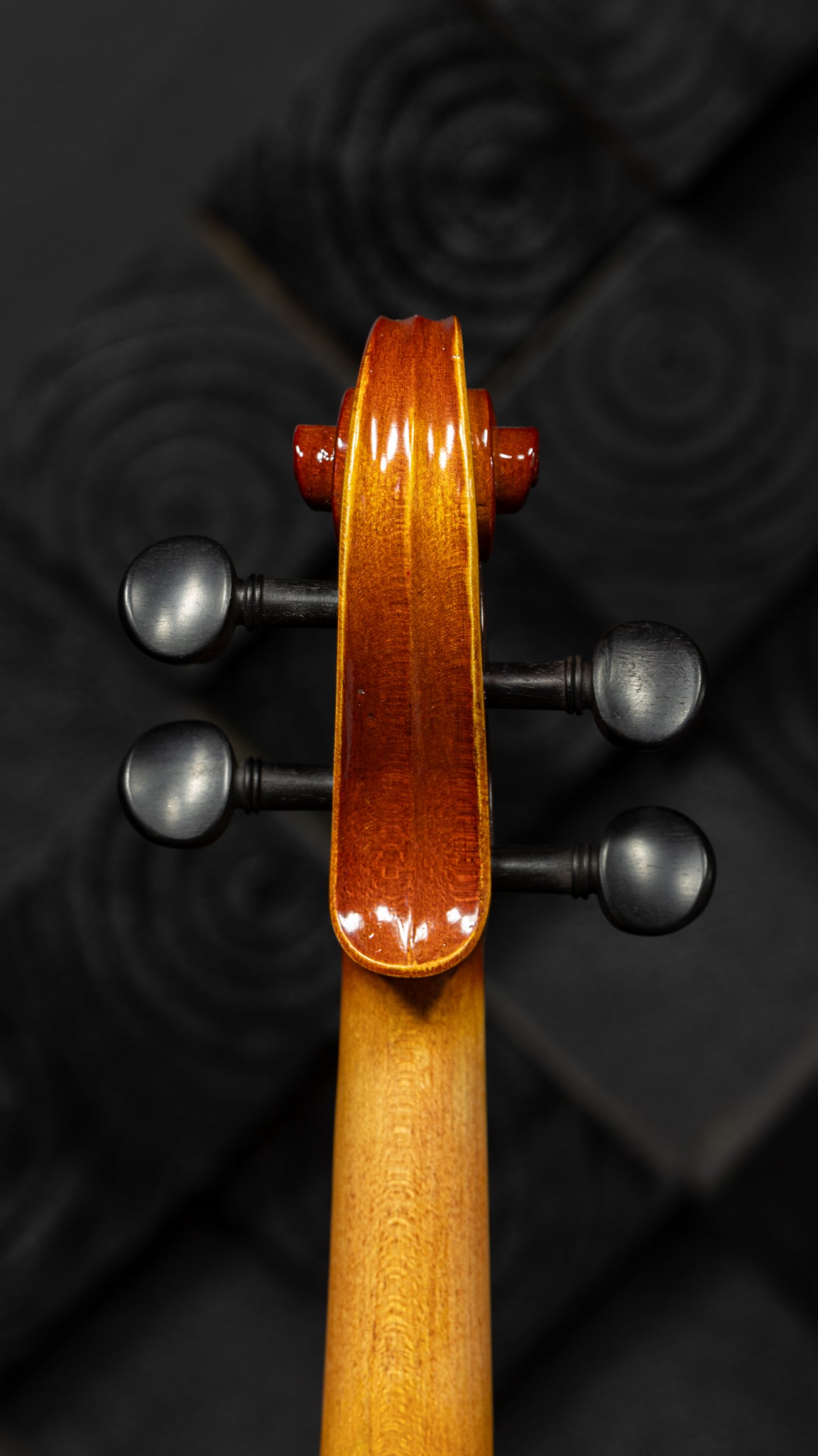 Liandro DiVacenza DV40