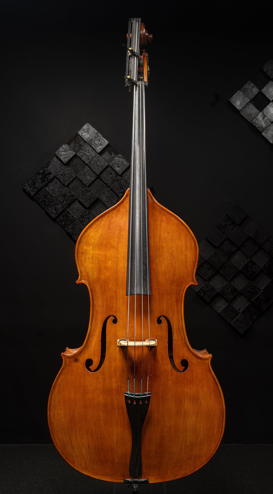 Gliga Euro Bass Violin – Kolstein Music