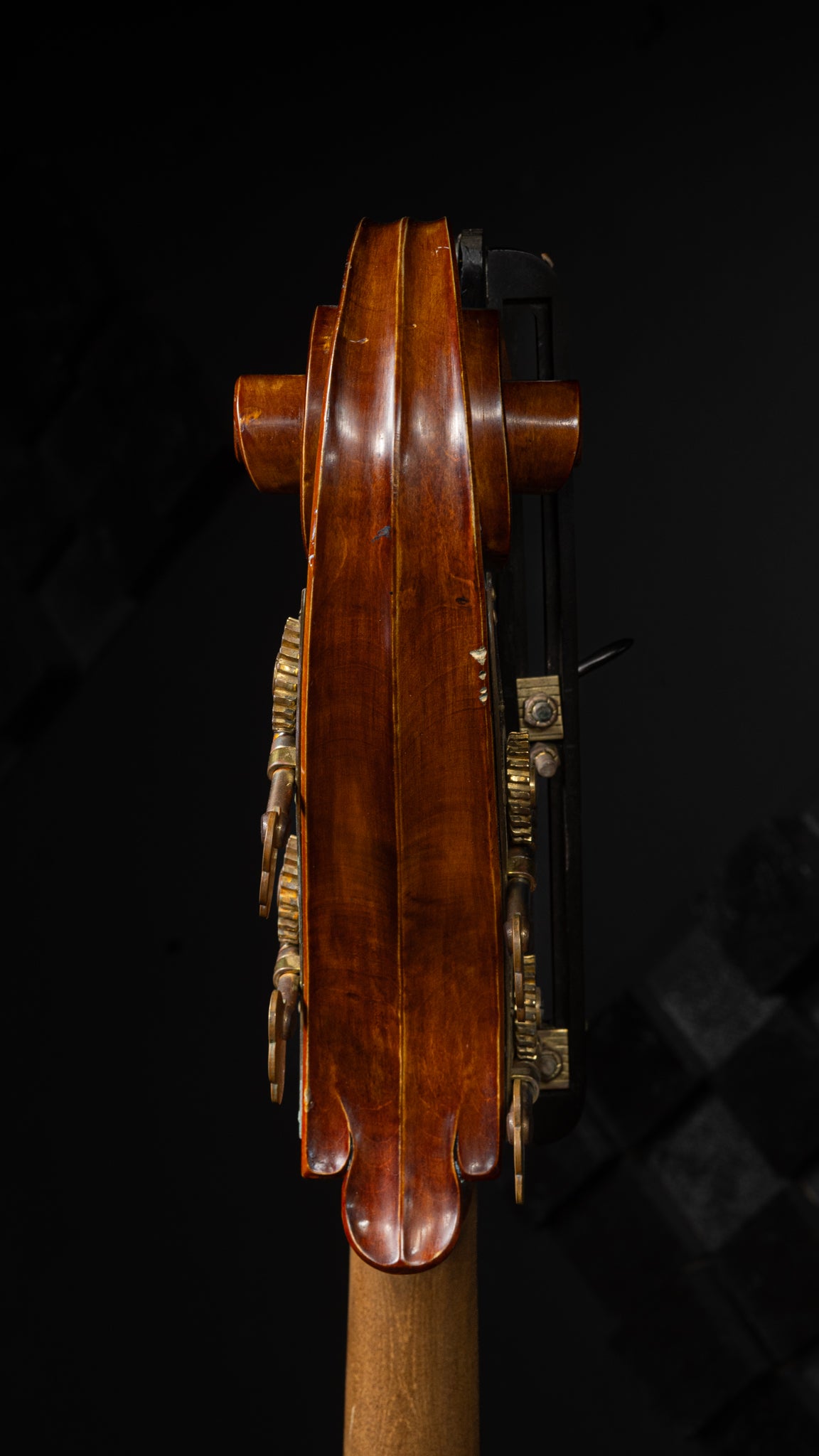 Gliga Euro Bass Violin