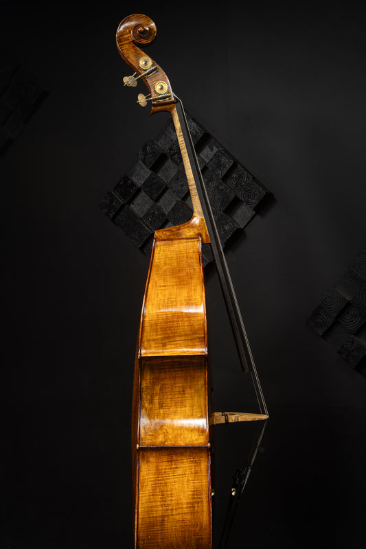 Guarneri Model Bass