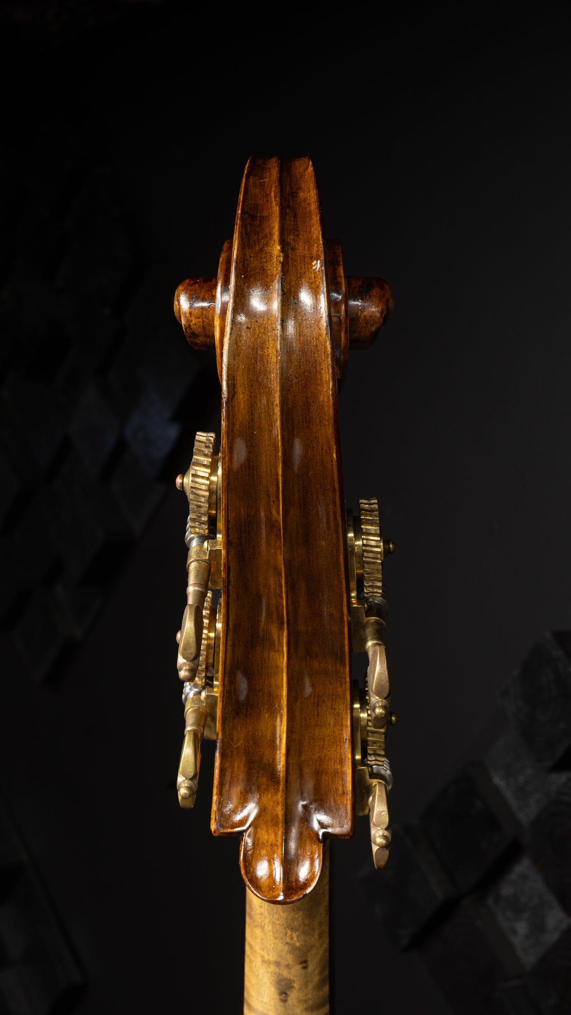 Guarneri Model Bass