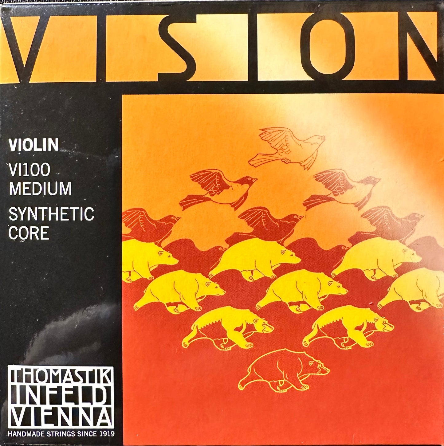 Vision Violin Set - VI100