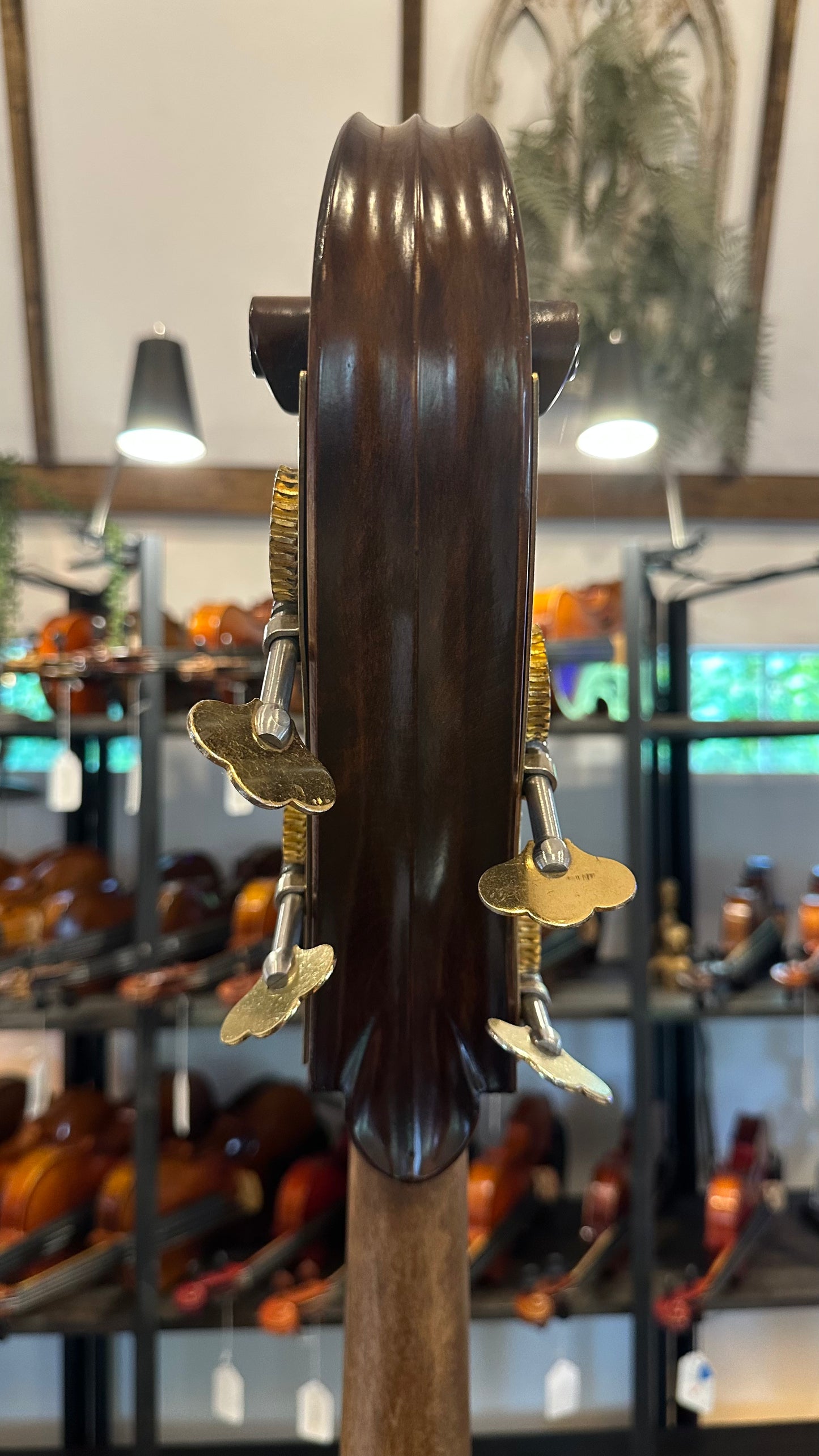 Liandro DiVacenza DB100 Plywood Bass