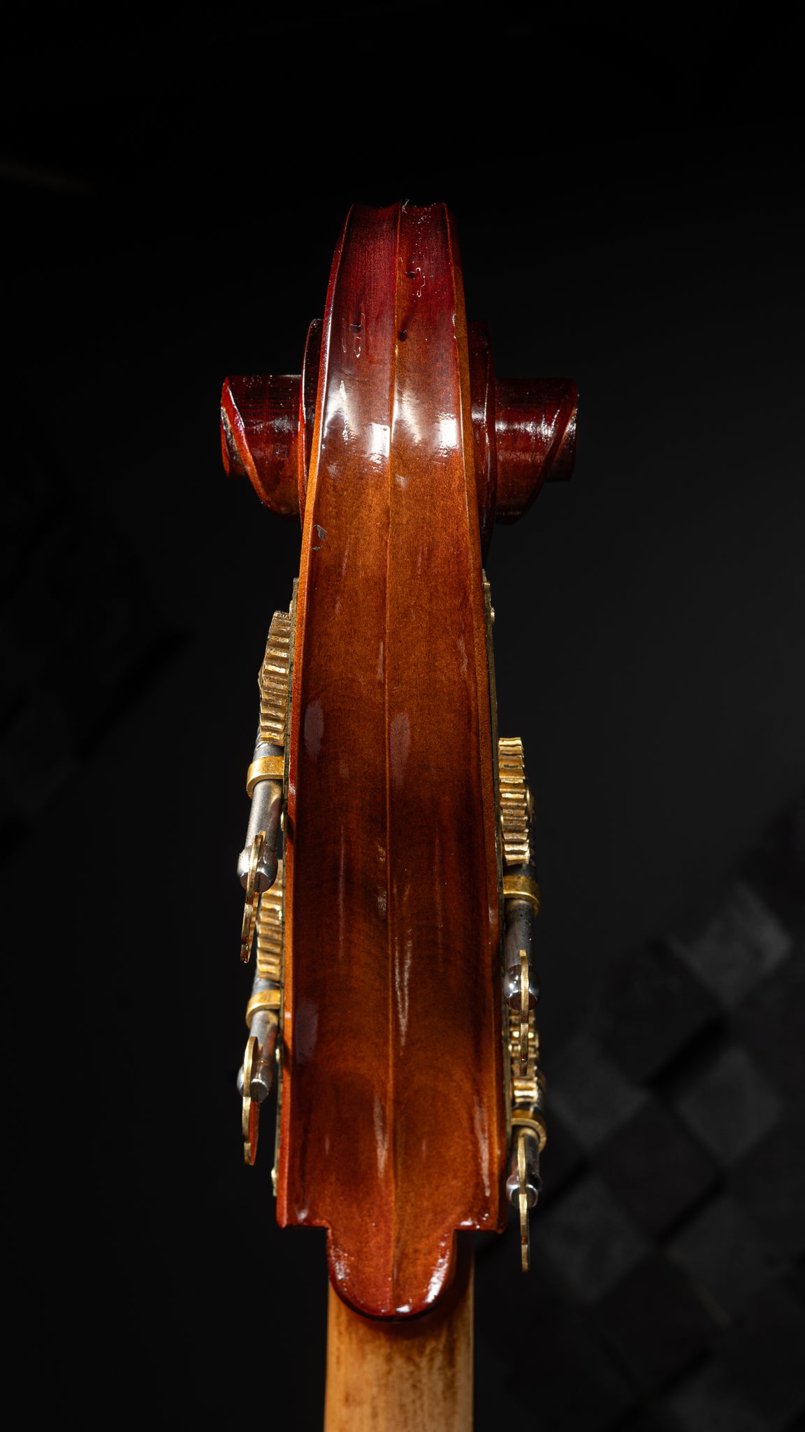 Liandro DiVacenza DB150 Hybrid Bass