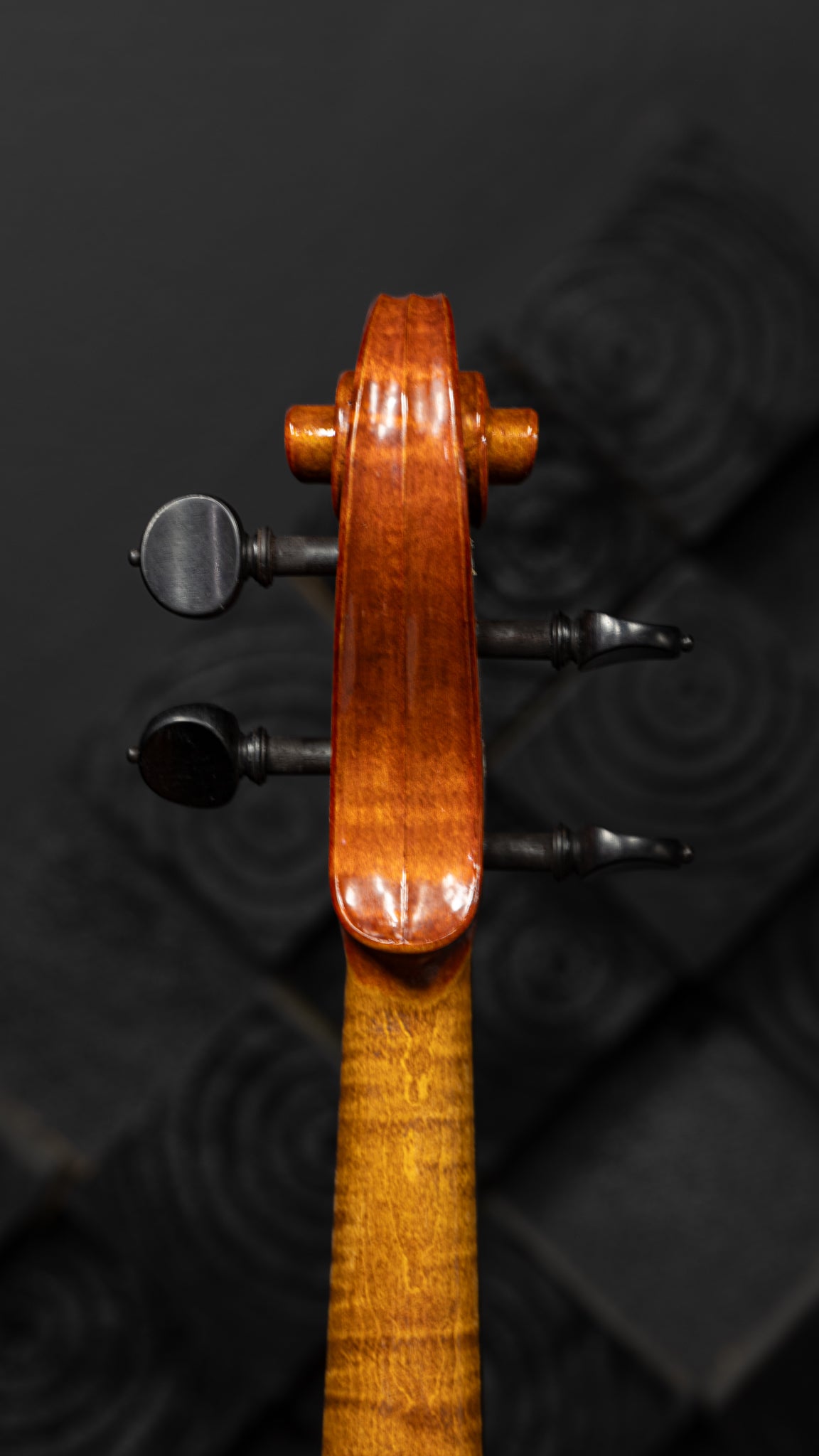 Nunzio Ferraro Seguendo La Disciplina Di Giovanni