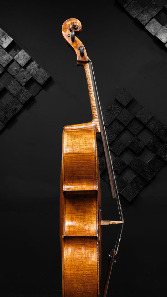 Prague Cello Labeled Vincenzo Jorio
