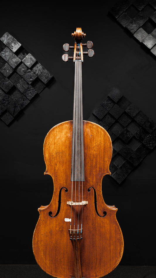 Prague Cello Labeled Vincenzo Jorio