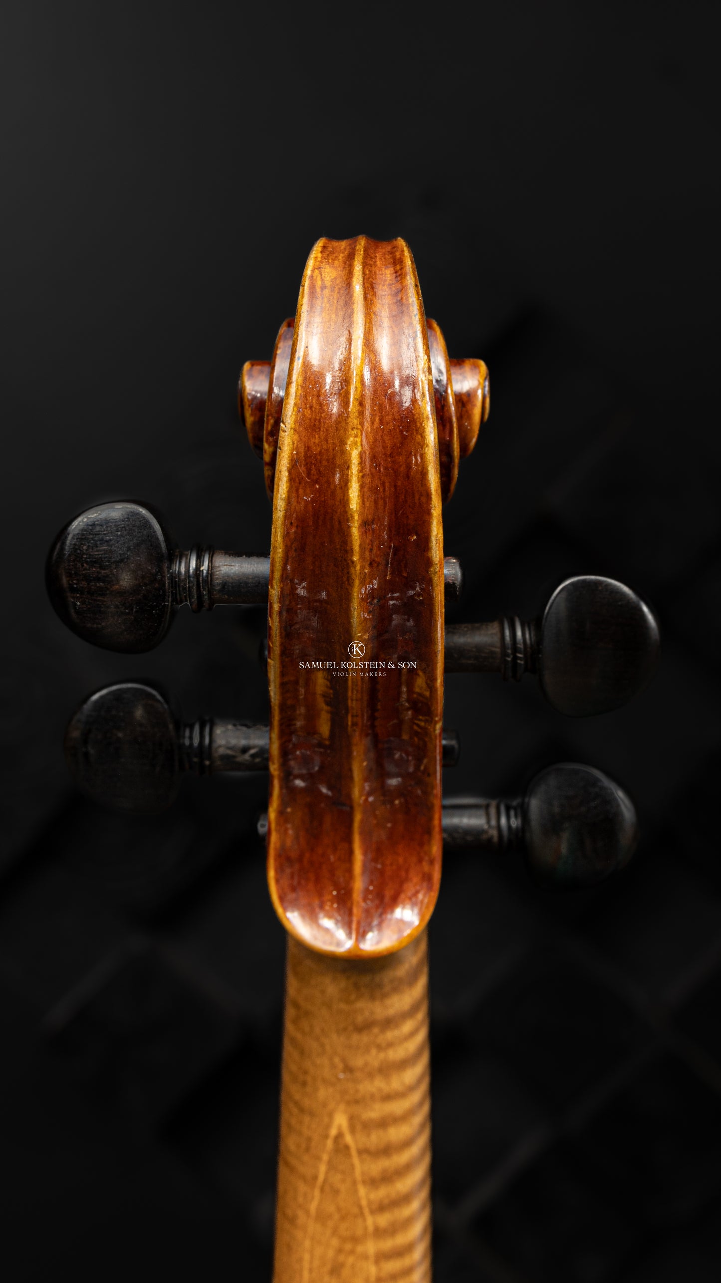 Mario Bedocchi Violin