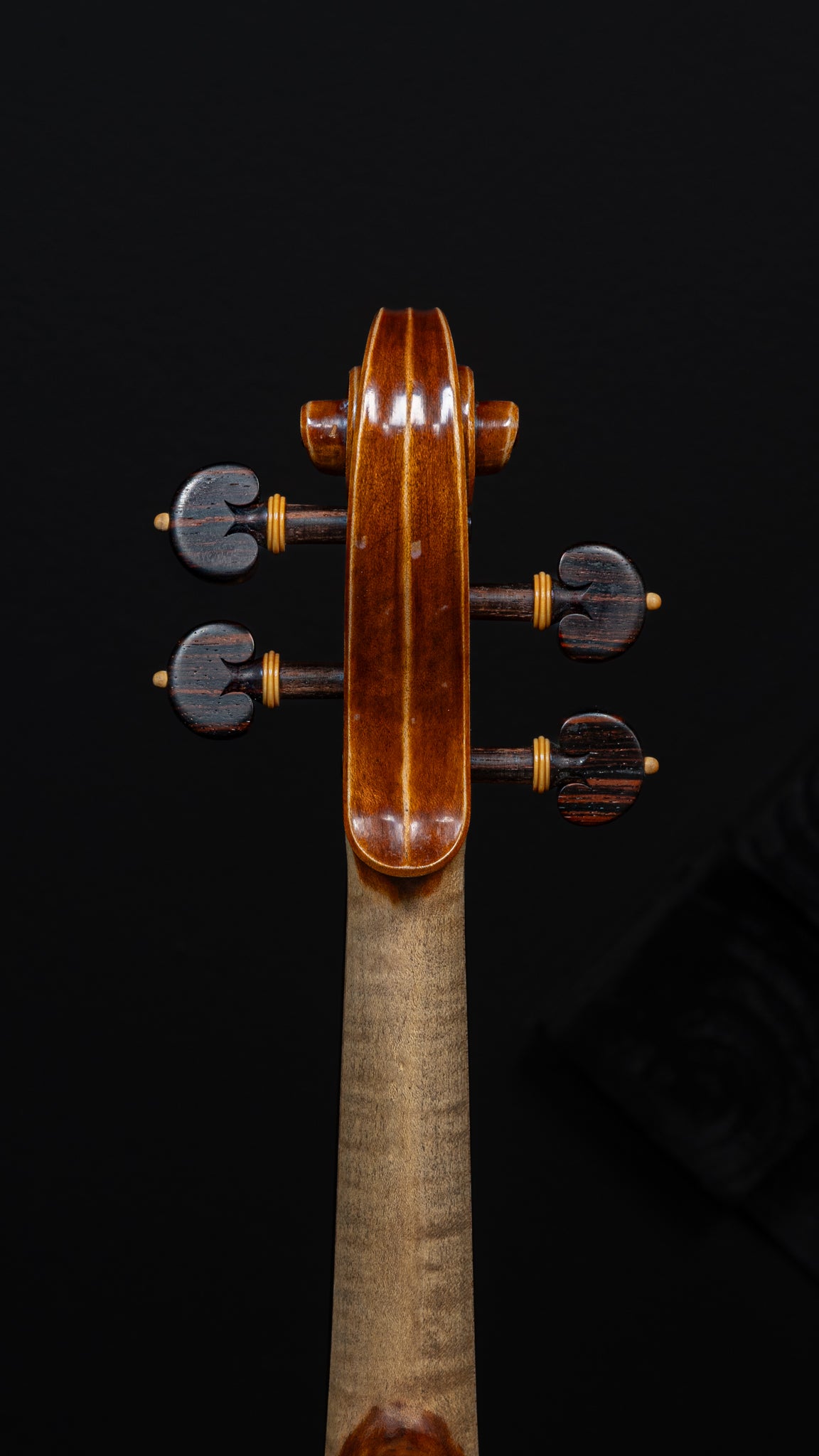 Davide Negroni Violin