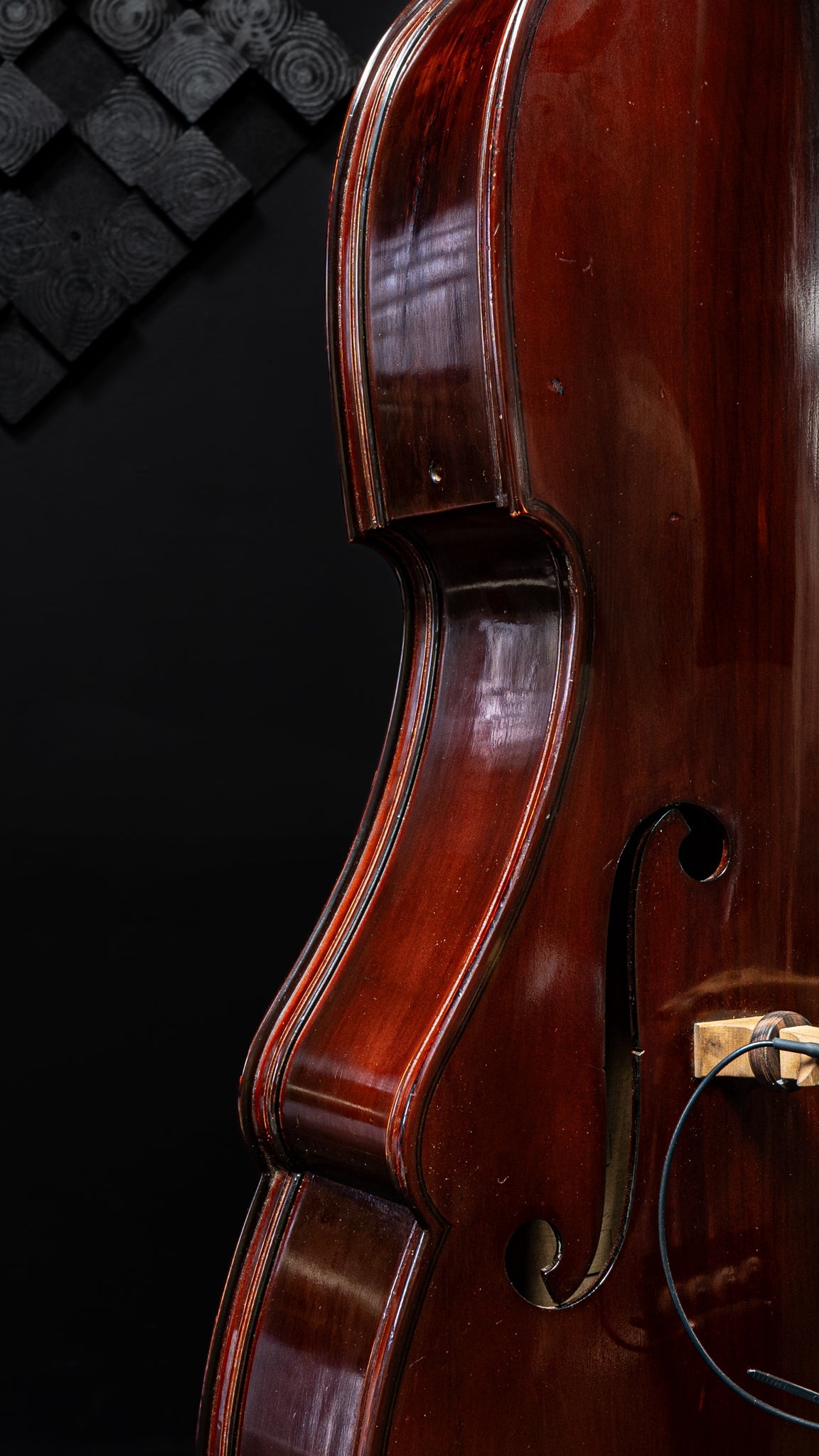 Kolstein Busetto Travel Bass (with flight case)