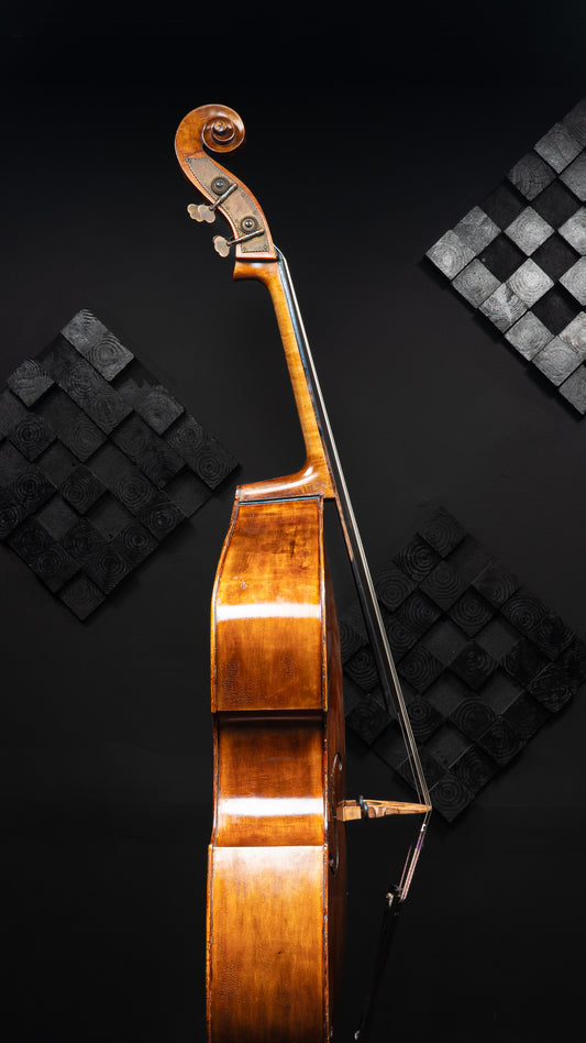 Kolstein Orchestral Bass