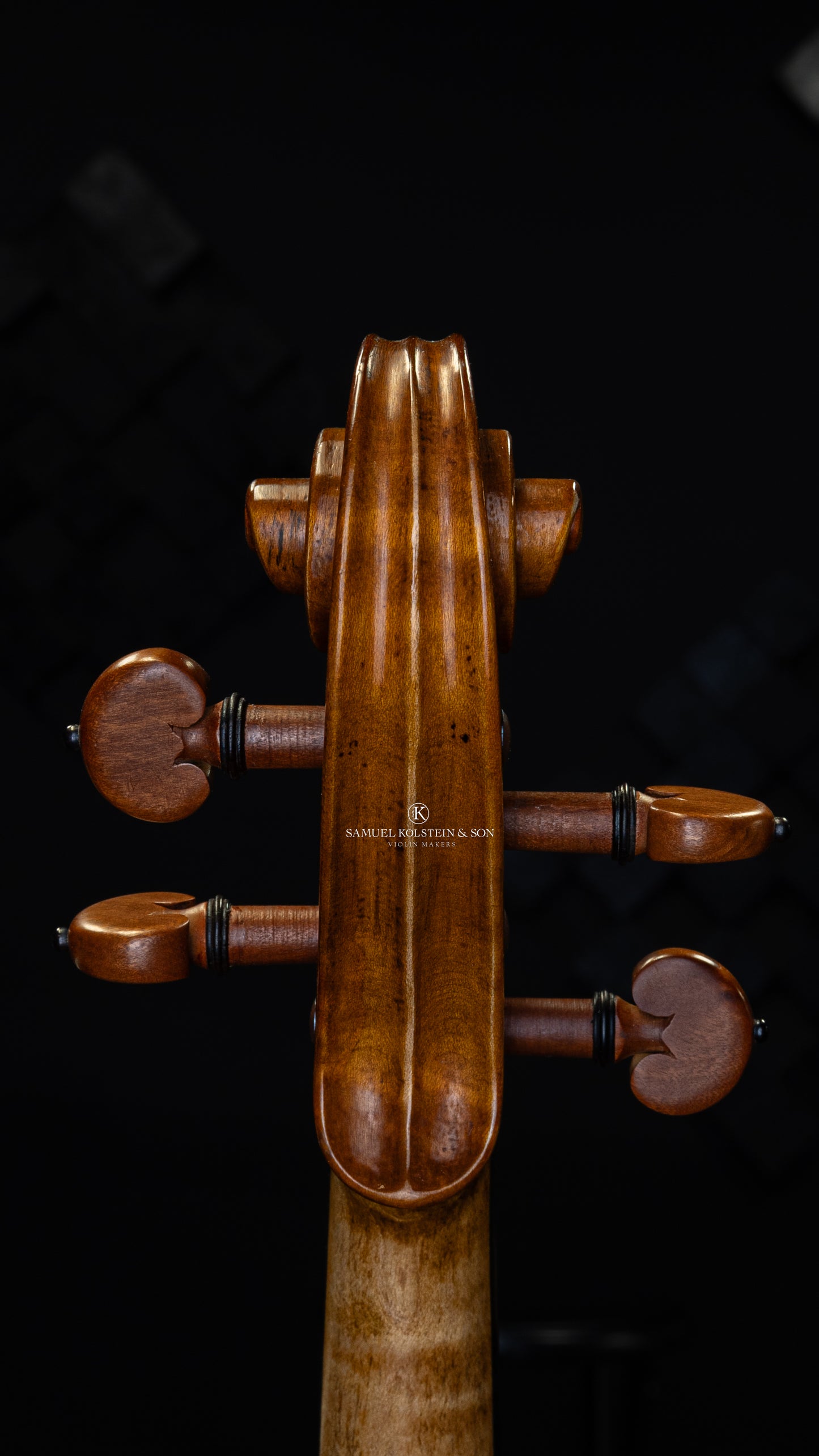 Raineri Viola Genoa