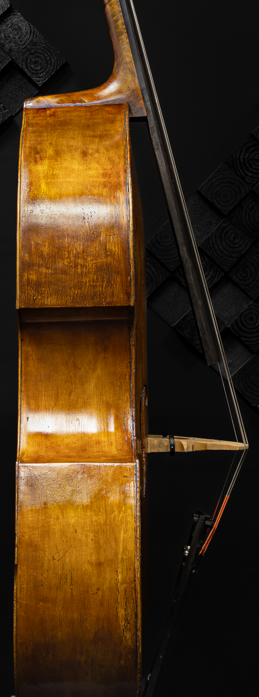 Marino Tarantino Bass Violin