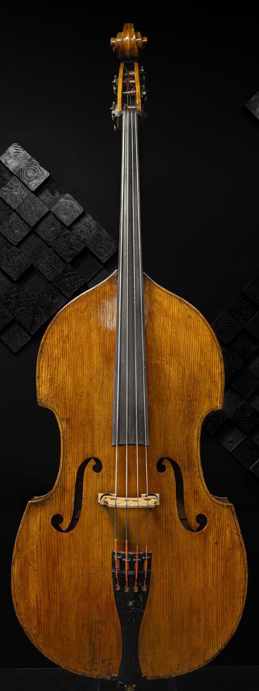 Marino Tarantino Bass Violin