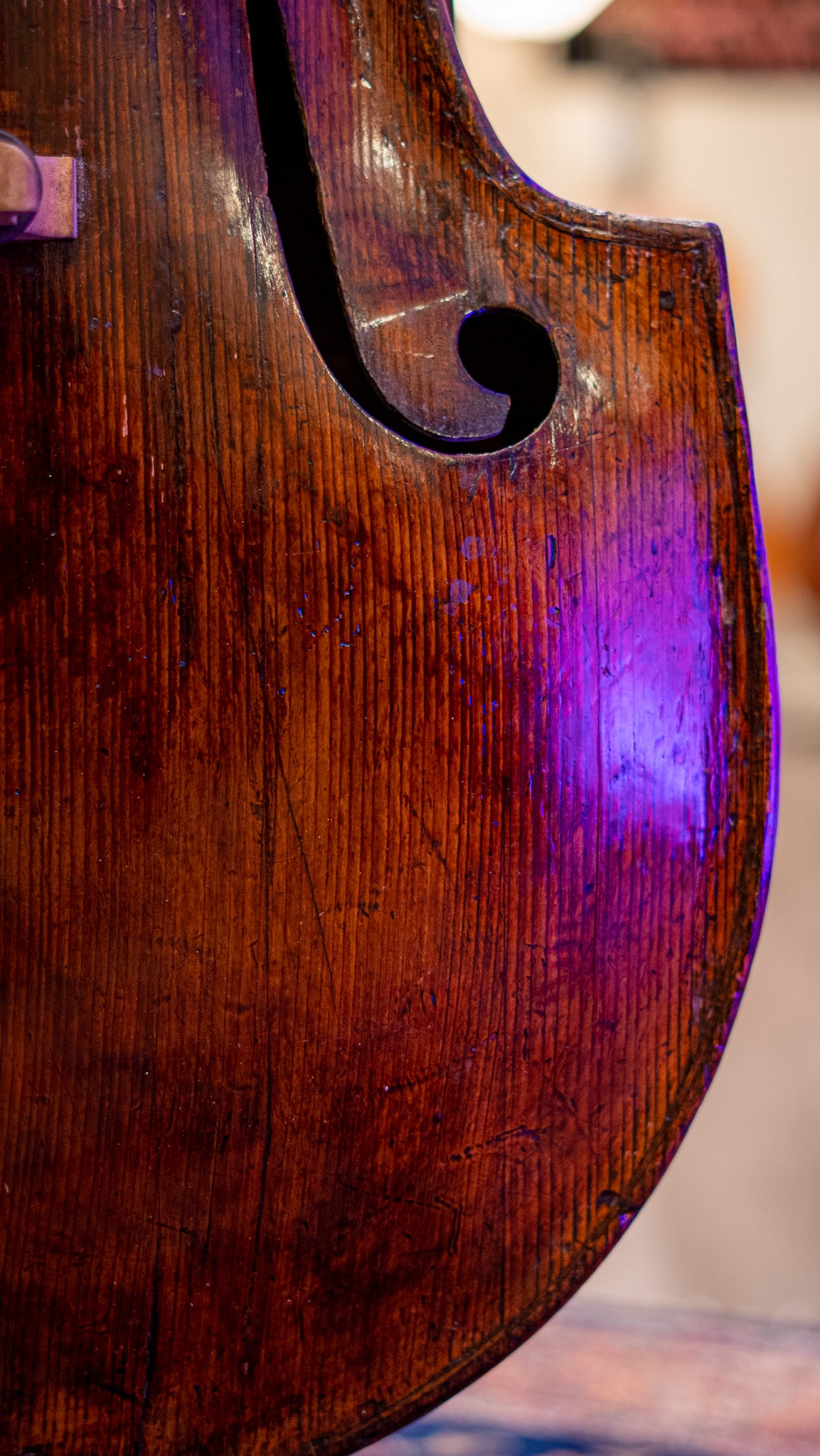 19 Century Attributed Turin, Italy Bass