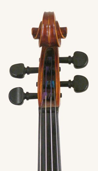 Luciano Sderchi Viola