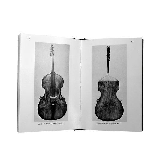 Looking At The Double Bass