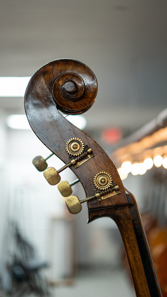 Kolstein Carcassi Bass