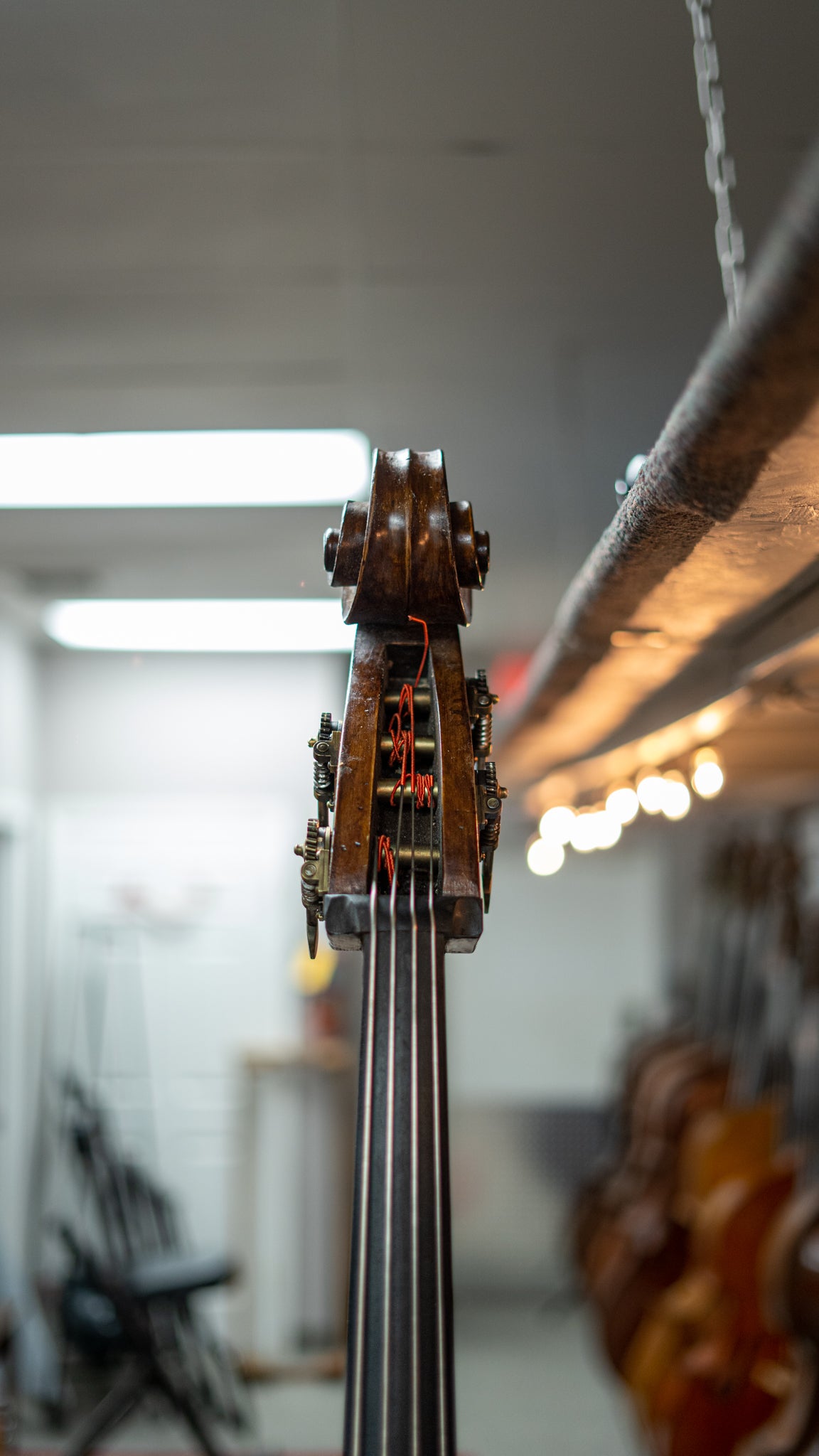 Kolstein Carcassi Bass