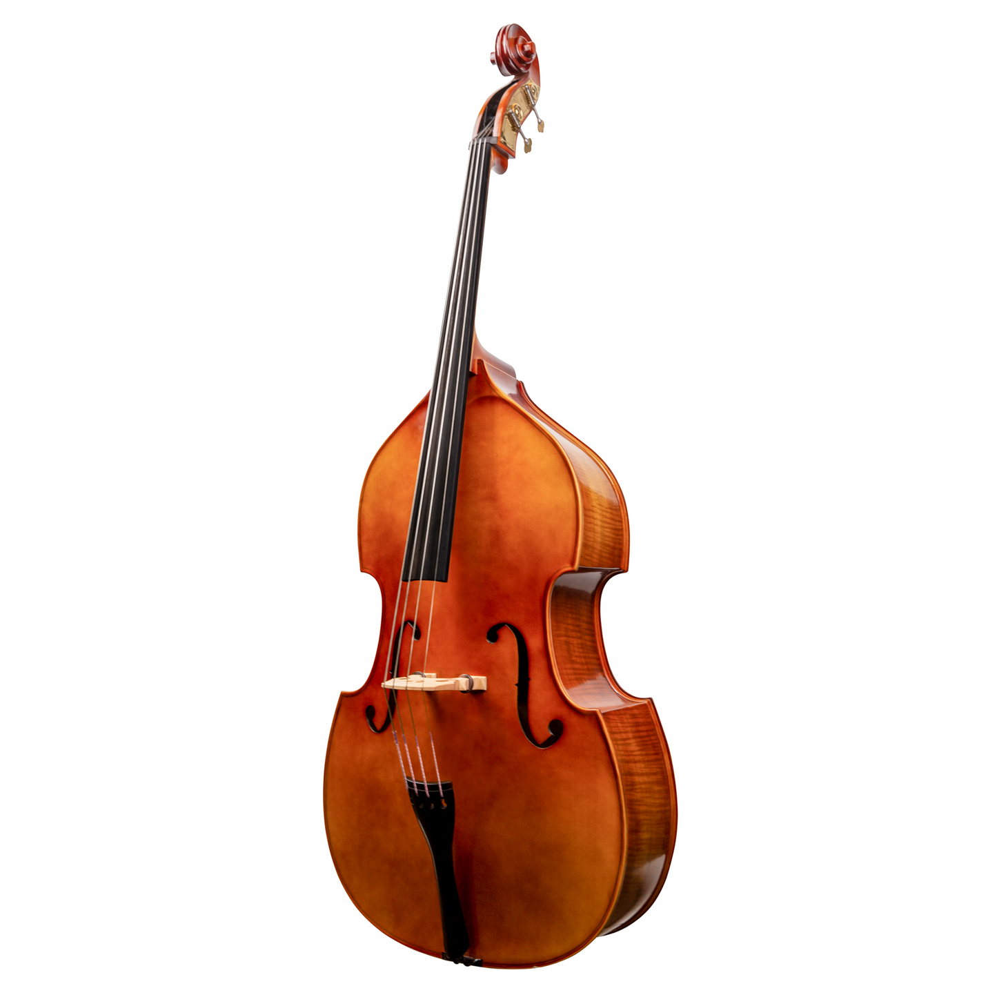 Liandro DiVacenza™ Hybrid Bass