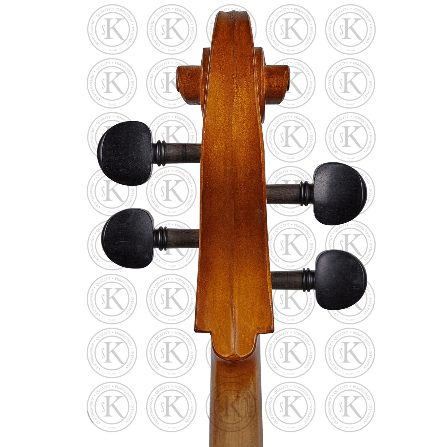 Liandro DiVacenza™ Hybrid Cello