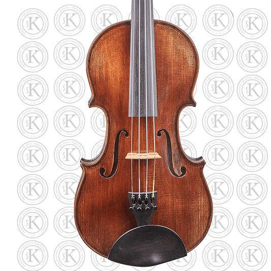 Liandro DiVacenza™ Master Art Violin
