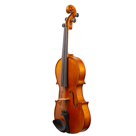 Liandro DiVacenza™ DVA100 Viola