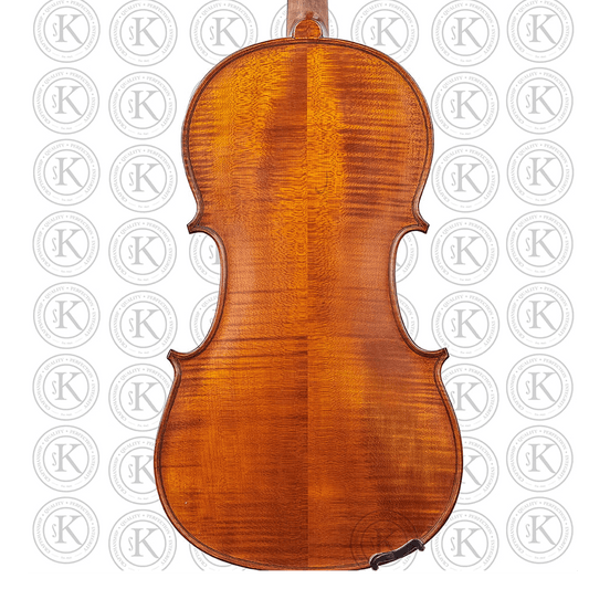 Liandro DiVacenza™ DVA100 Viola