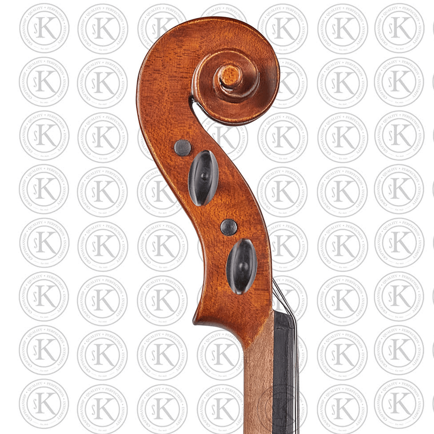 Liandro DiVacenza™ DVA100 Viola