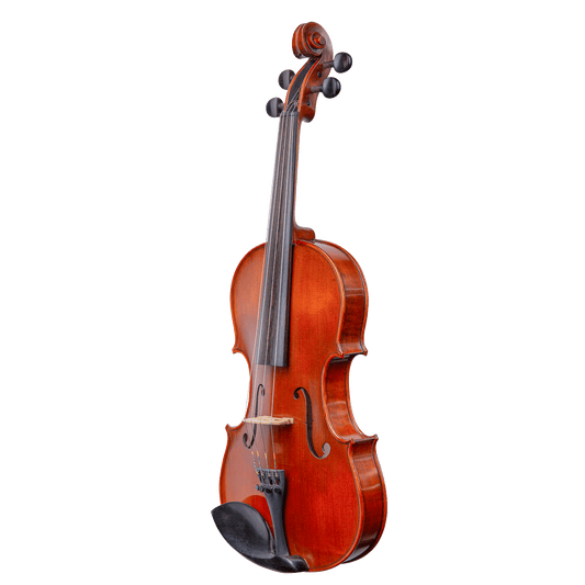 Liandro DiVacenza™ DVA200 Viola