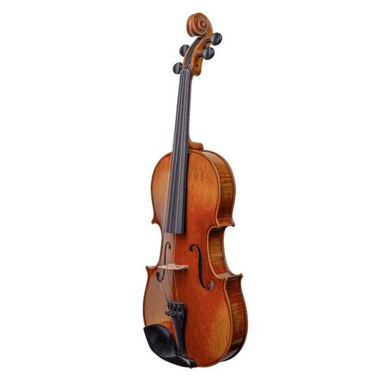 Liandro DiVacenza™ Master Art Viola