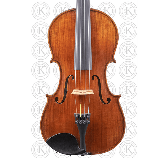 Liandro DiVacenza™ Master Art Viola