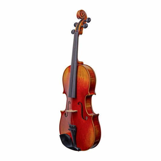 Premium Viola Rental