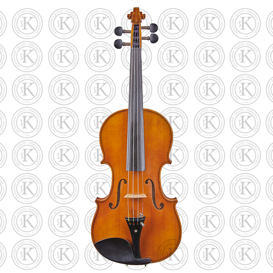 Liandro DiVacenza™ Violin (DV100)