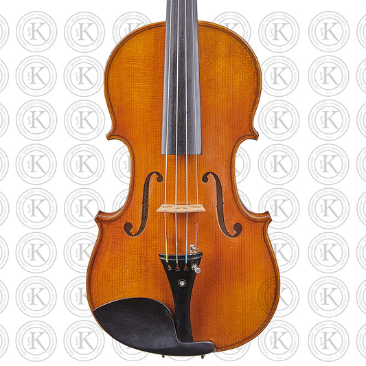 Liandro DiVacenza™ Violin (DV100)