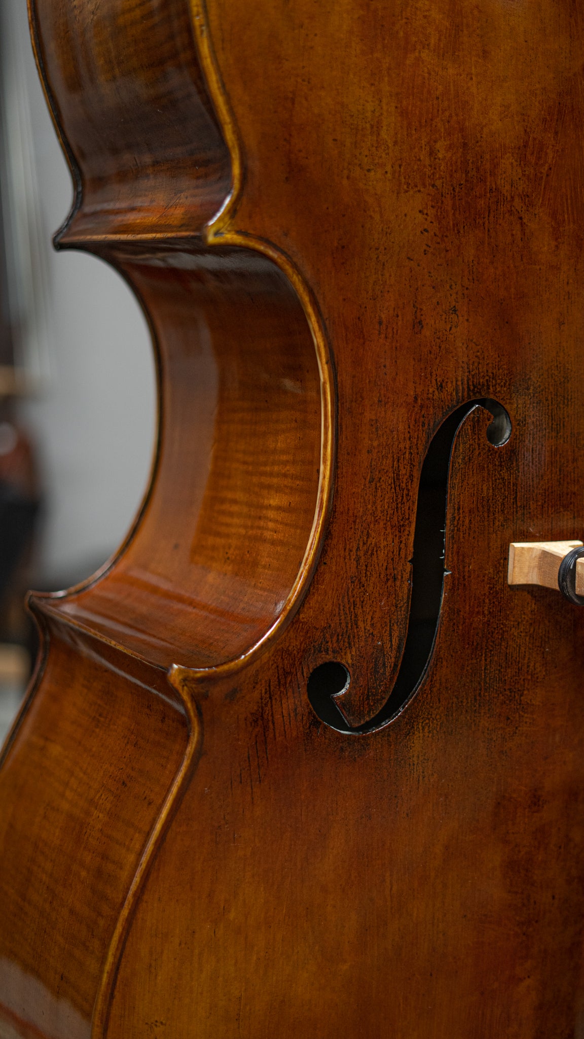 Eastern European English Model Flat Back Bass