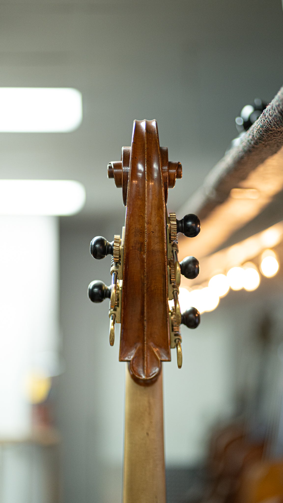 5 String Bass Liandro Divacenza Ceruti