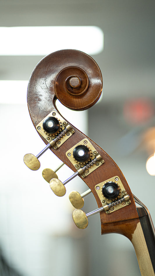 5 String Bass Liandro Divacenza Ceruti