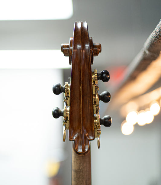 5 String Kolstein Panormo Bass