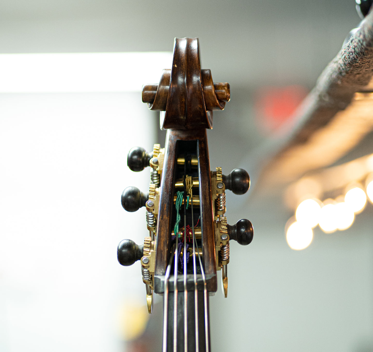 5 String Kolstein Panormo Bass