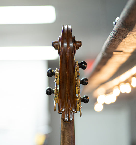 5 String Kolstein Panormo Bass