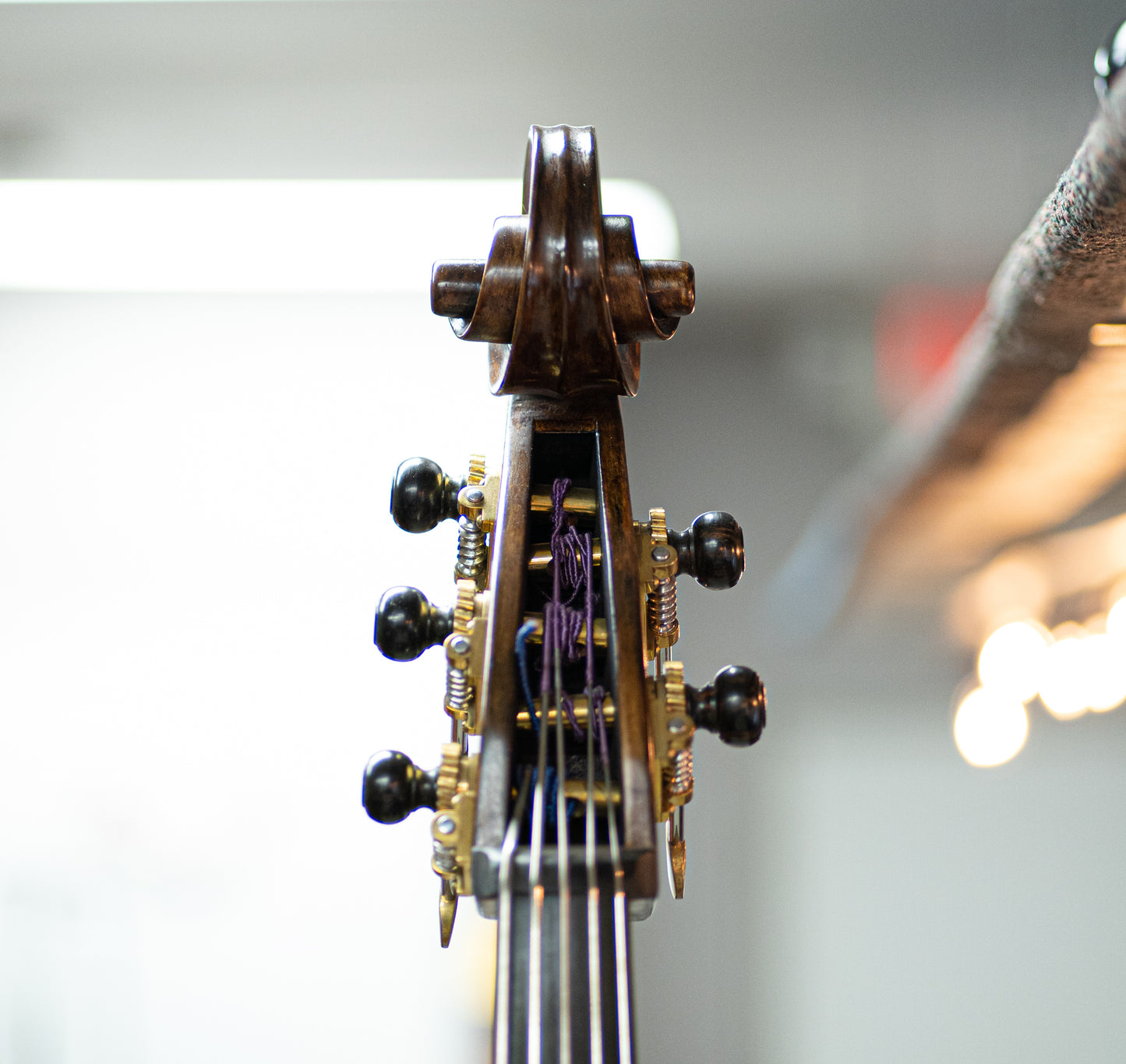 5 String Kolstein Panormo Bass