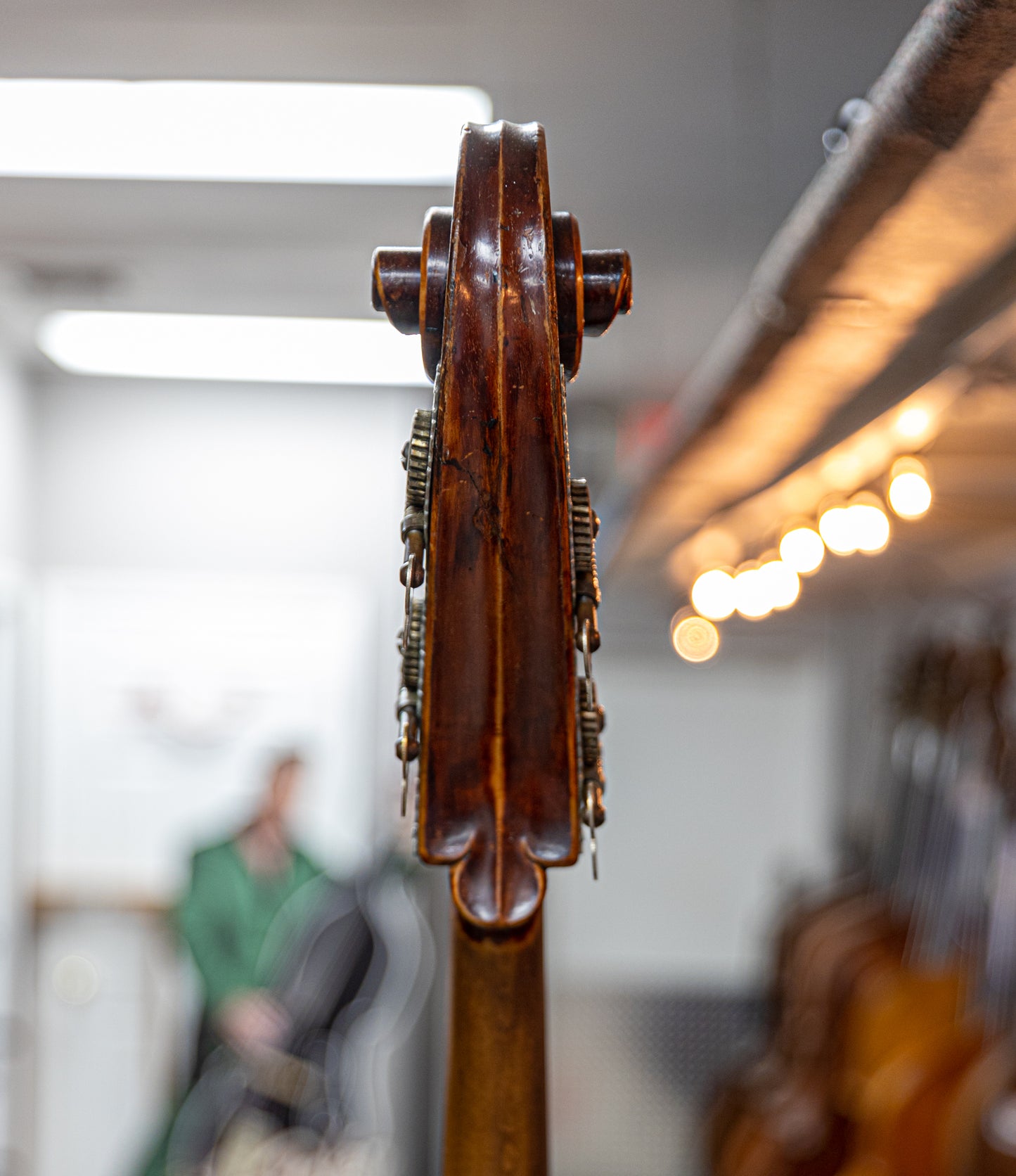 Juzek Roundback Bass