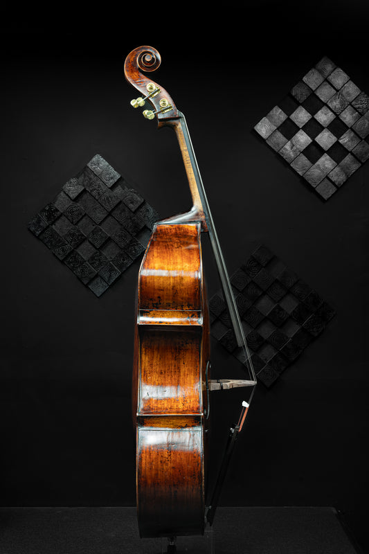 Kolstein D. Montagnana