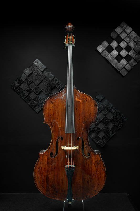 Kolstein D. Montagnana