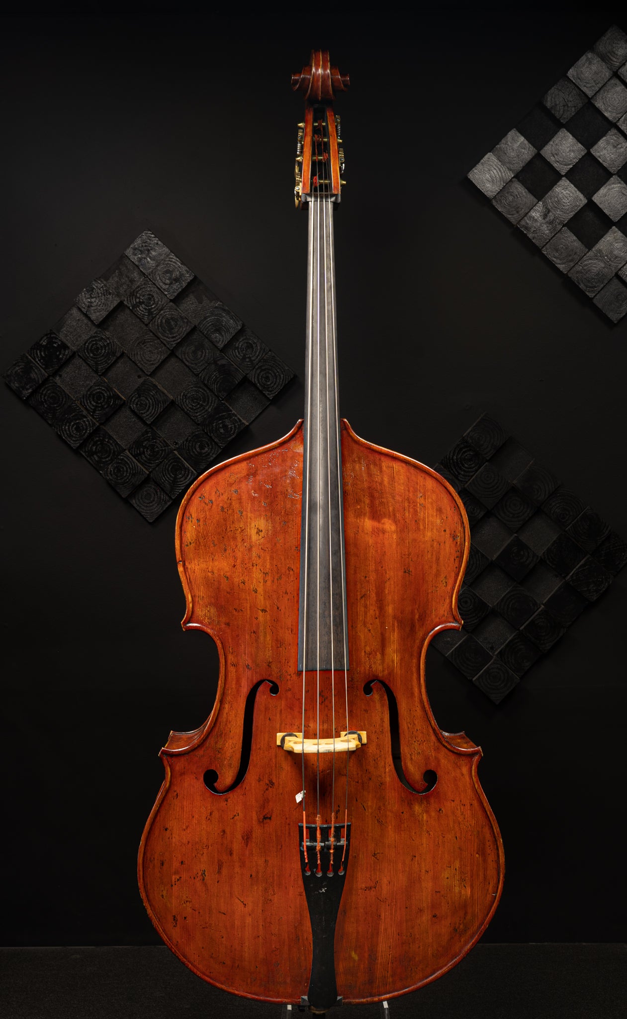 Thomas Dodd Model Bass – Kolstein Music